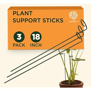 gold dust plant support sticks 18 inch 15 ft pack of 3 plant supporter garden stakes for plants home garden accessories climber support for plants money plant support stick