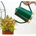 Gold Dust Garden Watering Can, Watering Can for Plants, Plant Watering Can, Water Can for Plants, Watering Cans, Watering Equipment for Garden (Green (1.5 Lt))
