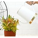Gold Dust Garden Watering Can, Watering Can for Plants, Plant Watering Can, Water Can for Plants, Watering Cans, Watering Equipment for Garden (White (1.5 Lt))