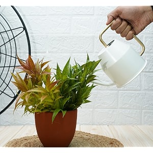 gold dust water can for plants garden watering can watering can for plants plant watering can watering cans watering equipment for garden white 09 lt
