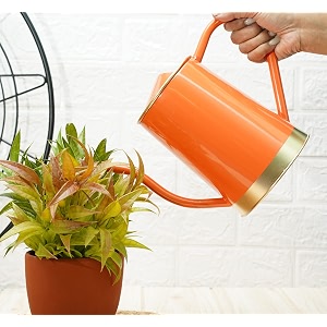 gold dust orange 15 lt metal plant watering can