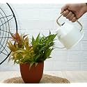 Gold Dust Water Can for Plants, Garden Watering Can, Watering Can for Plants, Plant Watering Can, Watering Cans, Watering Equipment for Garden (White (0.9 Lt))