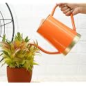 GOLD DUST Orange 1.5 Lt Metal Plant Watering Can