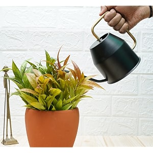gold dust plant watering can watering can for plants garden watering can water can for plants watering cans watering equipment for garden black 09 lt