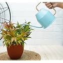 GOLD DUST Watering Can for Plants, Gardening Tools for Watering, Terrace Garden Accessories, Plant Watering Can, Garden Accessories (Sky Blue 0.9 LTR)