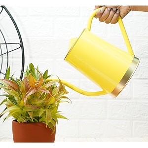 gold dust watering can for plants plant watering can garden watering can water can for plants watering cans watering equipment for garden yellow 15 lt