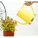 Gold Dust Watering Can for Plants, Plant Watering Can, Garden Watering Can, Water Can for Plants, Watering Cans, Watering Equipment for Garden (Yellow (1.5 Lt))