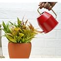 Gold Dust Watering Can for Plants, Plant Watering Can, Garden Watering Can, Water Can for Plants, Watering Cans, Watering Equipment for Garden (Red (0.9 Lt))