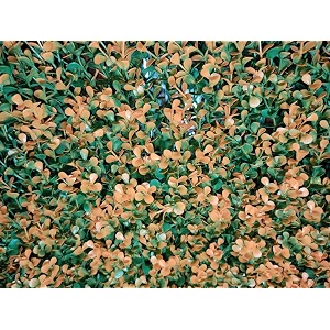 artificial wall grass for home decoration 11 pcs i grass mat for wall i vertical garden artificial plants orange plastic 50cm x 50cm x 5cm pack of 11