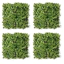 Golden Cart Artificial Wall Grass for Home Decoration (4 Pcs) I Grass Mat for Wall I Vertical Garden Artificial Wall Plants (Green &amp; Purple Design, 50cm X 50cm X 5cm, Pack of 4)