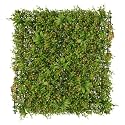 Golden Cart Artificial Wall Grass for Home Decoration (6 Pcs) I Grass Mat for Wall I Vertical Garden Artificial Plants (Green &amp; Beige Design, 50cm X 50cm X 5cm, Plastic, Pack of 6)