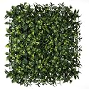 Artificial Wall Grass for Home Decoration (4 Pcs) I Grass Mat for Wall I Vertical Garden Artificial Plants (Lemon Green, 50cm X 50cm X 5cm, Plastic, Pack of 4)