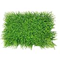 Artificial Wall Grass for Home Decoration (2 Pcs) I Grass Mat for Wall I Vertical Garden Artificial Plants (Light Green, 60cm X 40cm X 8cm, Plastic, Pack of 2)