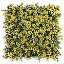 Artificial Wall Grass for Home Decoration (13 Pcs) I Grass Mat for Wall I Vertical Garden Artificial Plants (Yellow Green Design, 50cm X 50cm X 5cm, Plastic, Pack of 13)
