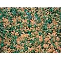 Artificial Wall Grass for Home Decoration (11 Pcs) I Grass Mat for Wall I Vertical Garden Artificial Plants (Orange, Plastic, 50cm X 50cm X 5cm, Pack of 11)