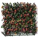 Artificial Wall Grass for Home Decoration (14 Pcs) I Grass Mat for Wall I Vertical Garden Artificial Plants (Multicolour, 50cm X 50cm X 8cm, Plastic, Pack of 14)
