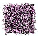 Artificial Wall Grass for Home Decoration (3 Pcs) I Grass Mat for Wall I Vertical Garden Artificial Plants (Purplish Pink, 50cm X 50cm X 8cm, Plastic, Pack of 3)