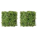 Golden Cart Artificial Wall Grass for Home Decoration (2 Pcs) I Grass Mat for Wall I Vertical Garden Artificial Wall Plants (Green &amp; Purple Design, 50cm X 50cm X 5cm, Pack of 2)