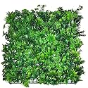 Golden Cart Artificial Wall Grass for Home Decoration (1 Pc) I Grass Mat for Wall I Vertical Garden Artificial Wall Plants (50cm X 50cm X 5cm, Pack of 1)
