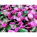 Artificial Wall Grass for Home Decoration (5 Pcs) I Grass Mat for Wall I Vertical Garden Artificial Plants (Purplish Pink, 50cm X 50cm X 8cm, Plastic, Pack of 5)