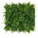 Artificial Wall Grass for Home Decoration (3 Pcs) I Grass Mat for Wall I Vertical Garden Artificial Plants (Green Leaves Design, 50cm X 50cm X 5cm, Plastic, Pack of 3)
