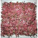 Golden Cart Artificial Wall Grass for Home Decoration (7 Pcs) I Grass Mat for Wall I Vertical Garden Artificial Wall Plants (50cm X 50cm X 5cm, Pack of 7)