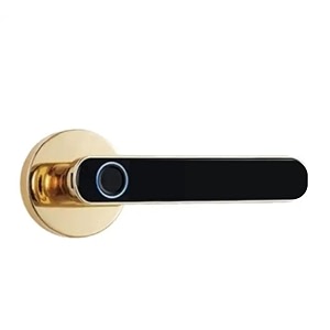 golens x39 smart fingerprint door lock with smart life app  6 unlock ways fingerprint password rfid otp amp key  anti-peep code  passage mode  digital door knob for home office hotel  silver