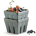 Gomakren Ceramic Berry Bowl Set of 2 Square Strawberry Basket, Slate Blue