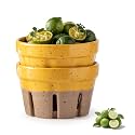 Gomakren Ceramic Berry Bowls with Holes Set of 2 for Fridge Yellow + Brown