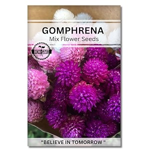 navika seeds  grow with us gompherena flower seedperfect for home amp terrace gardening winter amp summer blooms in india-includes free e-book for kitchenbackyardgardening amp plantinghigh germination