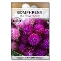 Navika Seeds ; Grow with Us Gompherena Flower Seed.Perfect for Home &amp; Terrace Gardening Winter &amp; Summer Blooms in India-Includes Free E-Book for Kitchen,Backyard,Gardening &amp; Planting.High Germination