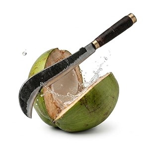 gonaturs breaker hooked coconut cutting knife 9 inch