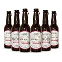 The Good Bug Kombucha |Fermented Tea | 1 Bn. CFU Live Cultures | Gut Friendly |Gluten free |Immunity Booster | Antioxidant and Hydration | Apple Cinnamon| Pack of 6 | 300 Ml