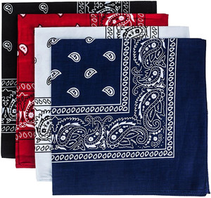 Good Shopkeeper Paisley 20 inches x 20