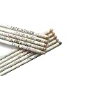 GoodWill Tech Newspaper Plantable Pencils | Eco-Friendly Recycled Paper Stationery with Seeds | Sustainable Writing Supplies for Kids, Students, School &amp; Home (Seed Pencil, 40)