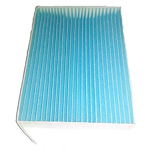 ac filter compatible with ritz