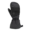 Gordini Men's Gore-tex Storm Mitten