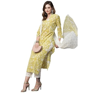 GoSriKi Womens Cotton Blend Straight Printed Kurta