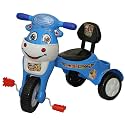 Goyal's Happy Birthday Baby Tricycle Ride-On with Music & Lights (Happy Birthday, Blue)