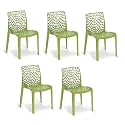 Goyal Steel &amp; Furniture Plastic Web Designer Chair - Outdoor Without Arm (Jali) Gloss Finish for Home, Reception, Study, Office (5, Green, Standard)