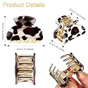 GRACIOUS MART Hair Clips for Women and Ladies Hair Accessories Resin Hair Barrettes Fashion French Design Clips for Women (6 BIG BUCKLE)