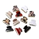 GRACIOUS MART Hair Clips for Women and Ladies Hair Accessories Resin Hair Barrettes Fashion French Design Clips for Women(6 SMALL BUCKLE)