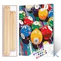 Graffitic American Snooker Paint by Number Billiard BallsDIY Acrylic Paintwork Kit for Adults Beginner Men Gaming Sport Art DIY Canvas Oil Paintings Arts Craft 16x20 Inch Home Decor Gift(DIY Frame)