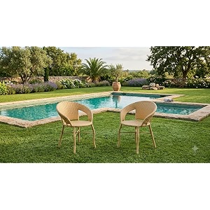 grand living 2-piece outdoor wicker patio chair weather-resistant chairs rattan for garden balcony for terrace lawnamp balcony beige 2 chair