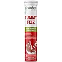 Grandeur Tummy Fizz Prebiotic And Probiotic Supplement For Gut Health, Digestion, Bloating, Immunity and Metabolism | With 20 Billion CFU & 6 Unique Strains | 15 Effervescent Tabs |