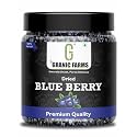 Granic Farms Premium Dried Blueberries Plum 200gm Whole and Unsweetened | Vegan and Gluten Free - Vitamin Rich | Low Fat Healthy Snacks | Dried Blueberries 200gm