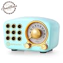 Greadio Retro Bluetooth Speaker, Vintage Radio Speaker, Vintage Decor