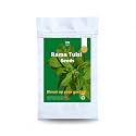 Gree Leaf Rama Tulsi Seeds for Planting in Home Kitchen Garden (Rama | Green Tulsi)