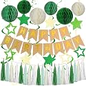 Green Birthday Decorations, Happy Birthday Decorations with Banner, Honeycomb Balls, Stars Hanging Swirls, Paper Tassel Garland