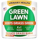Green Grass Dog Chews - Pee Lawn Spot Saver - Grass Restore Treats - Dog Urine Neutralizer Solution for Grass Burn Spots - Made in USA - 120 Chews